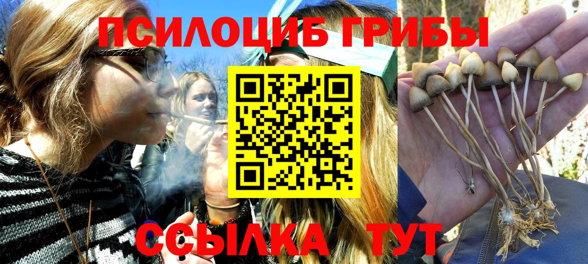Дальнегорск  Галлюциногенные грибы Magic Shrooms  Вход с VPN 