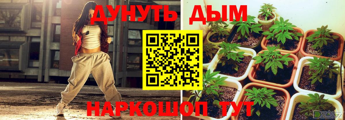 Канабис сатива  МАРИХУАНА VHQ  Каннабис MAZAR  Конопля планчик  Дальнегорск  Вход с VPN 